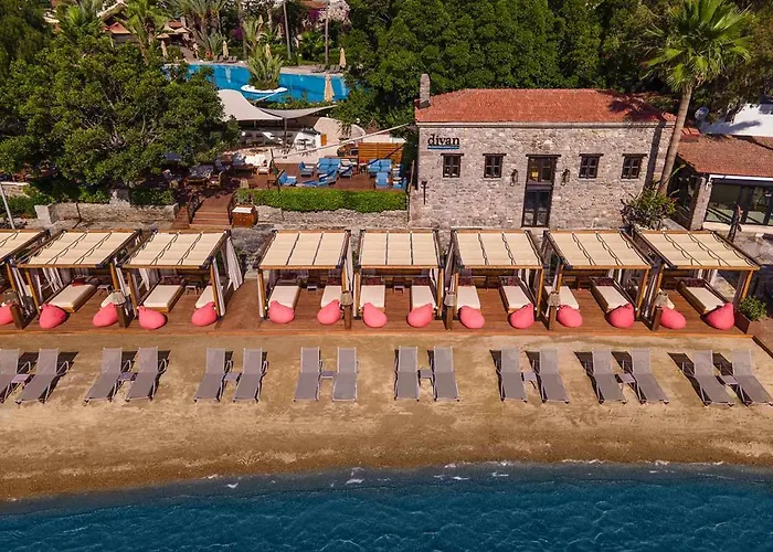 Divan Bodrum Palmira Resort 5*